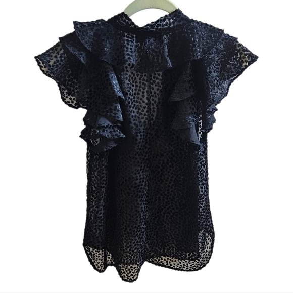 Robert Rodriguez Pauline Burnout Velvet Top Black Sheer Ruffled Sleeves size 4 - Picture 4 of 10